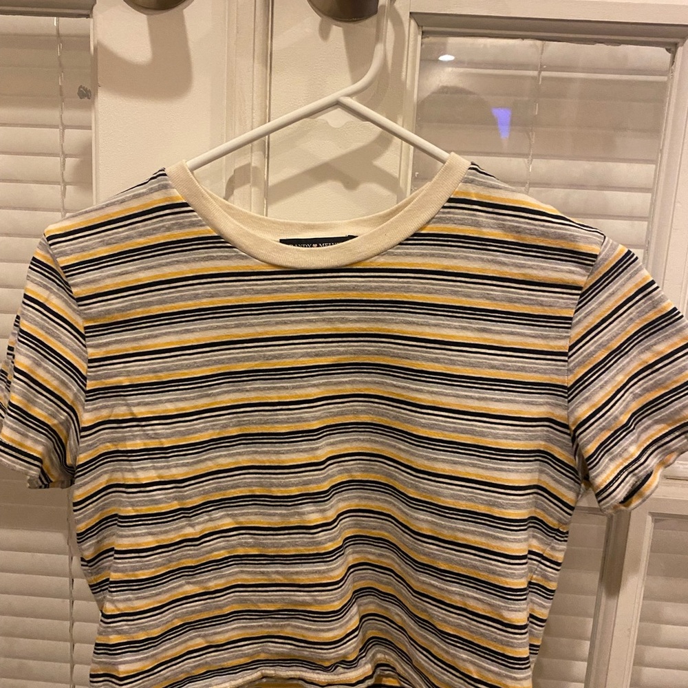 Brandy Melville Crop Top